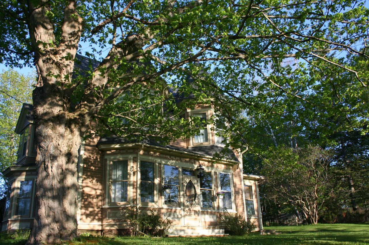 Sackville Bed And Breakfast Extérieur photo